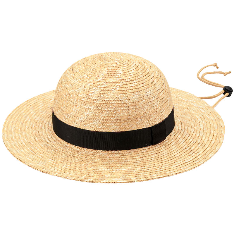 ycXqXzRogeriW[j ΍Lی^nbg